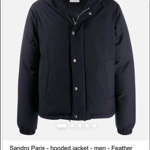 A Sandro Puffer goose